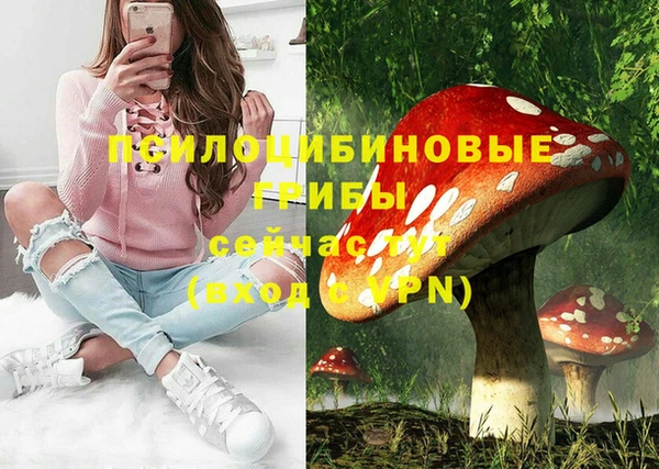 трава Абинск