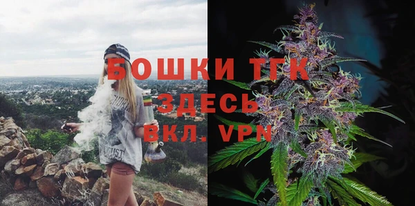 твердый Алексеевка