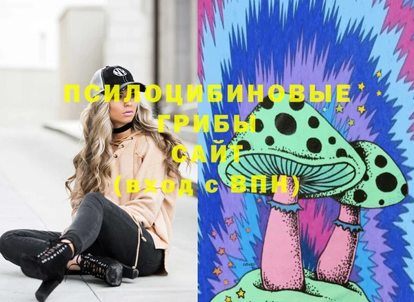 каннабис Алзамай