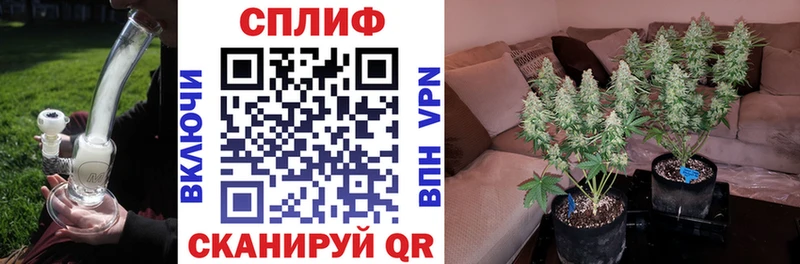 Каннабис VHQ где найти ОМГ ОМГ как зайти Благодарный